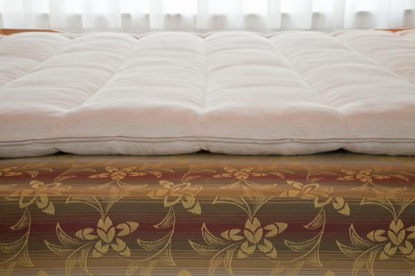 Moosburger Rosshaar-Matratzenauflage MA-RS